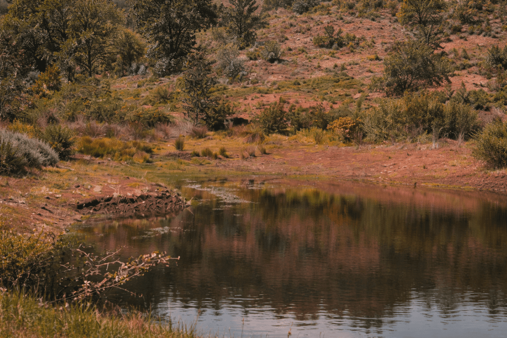 serradossa lago chat