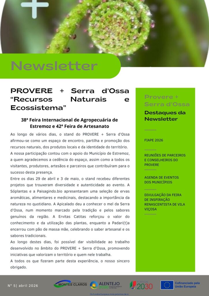 newsletter nº5 frente