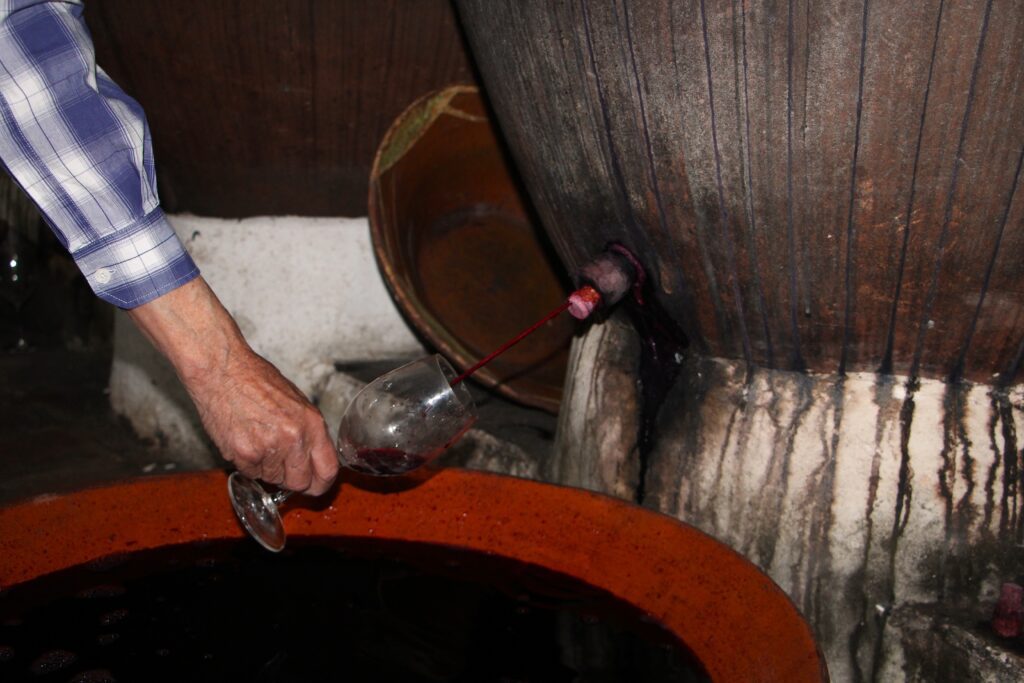 vinho de talha borba 2025 c