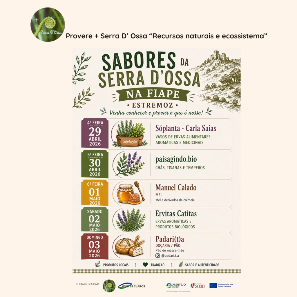 fiape cartaz final